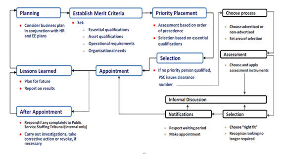 Steps in the staffing process – Text version below the graph