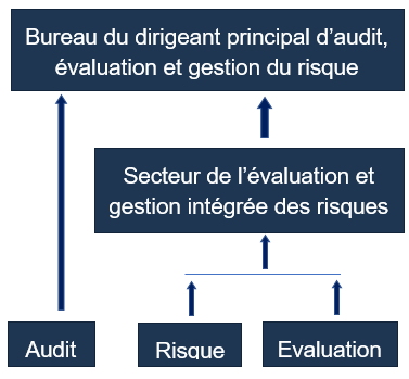 Une organigramme du Bureau du dirigeant principal d’audit, évaluation et gestion du risque. Description ci-dessous