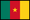 drapeau du pays - Cameroun