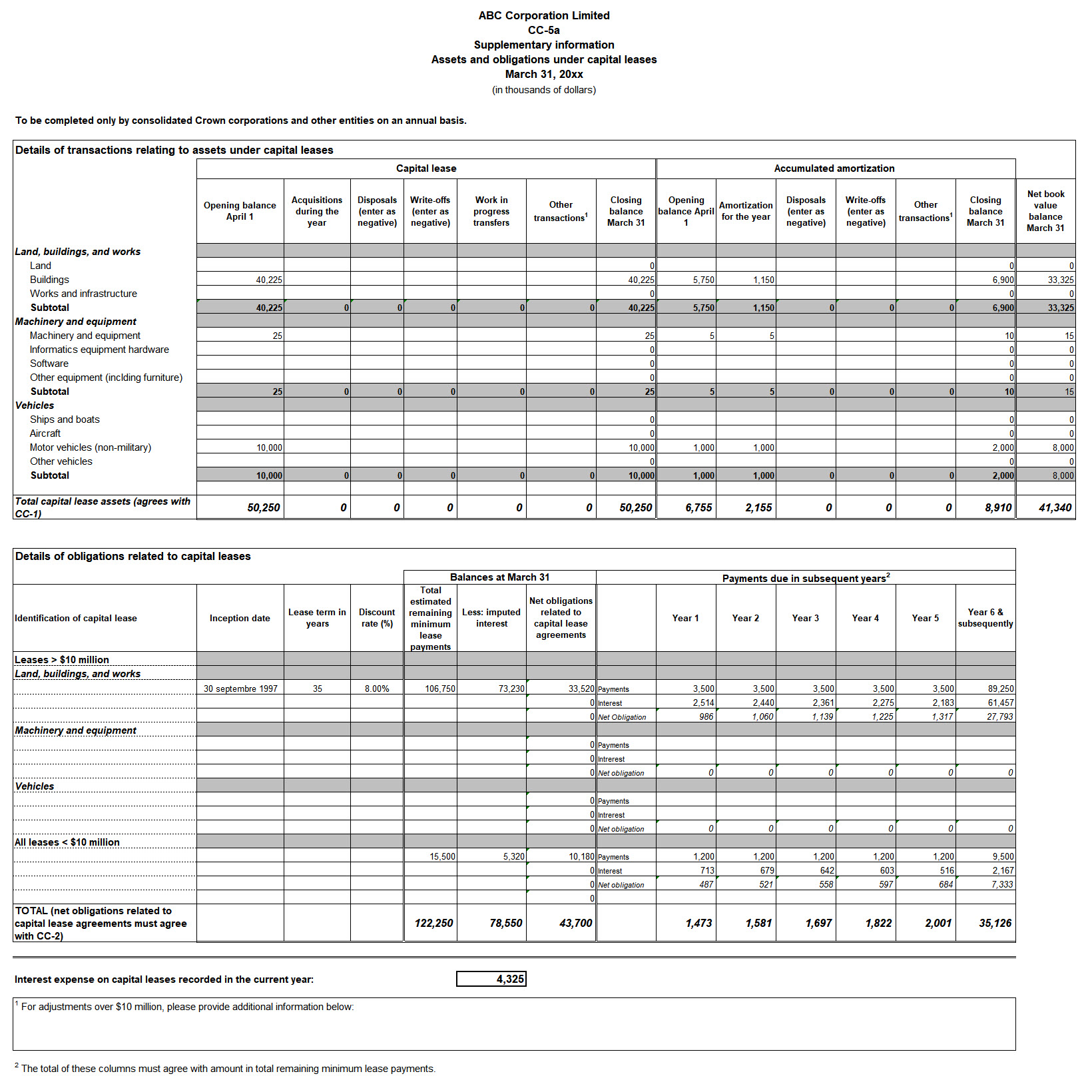 Screen capture of Form CC-5a: Assets and obligations under capital leases - Text version below the image